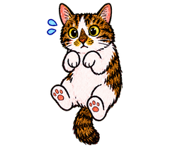 MaoMao being gently picked up, paws in the air.